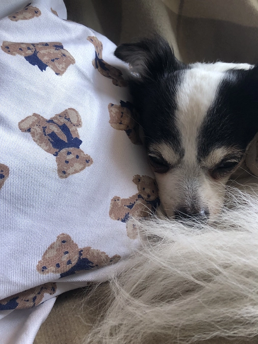 目の下が腫れています