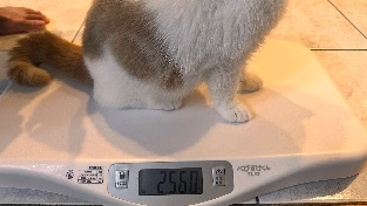 今日の体重2560ｇ