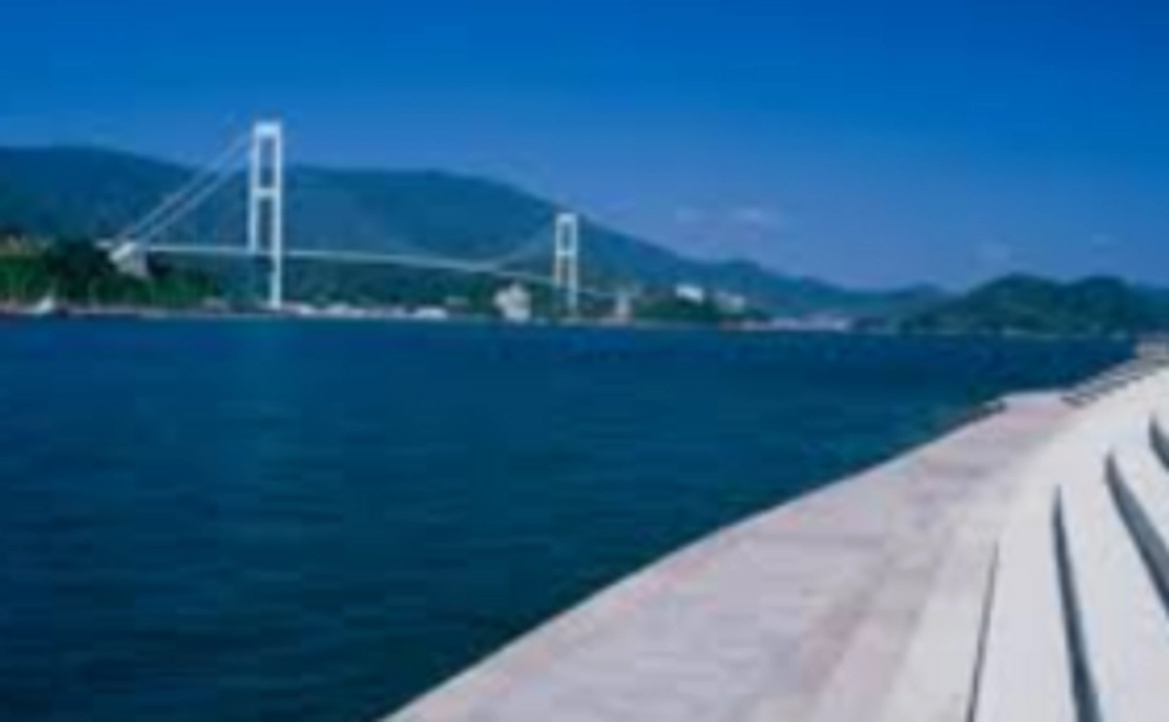 明星高校応援コース