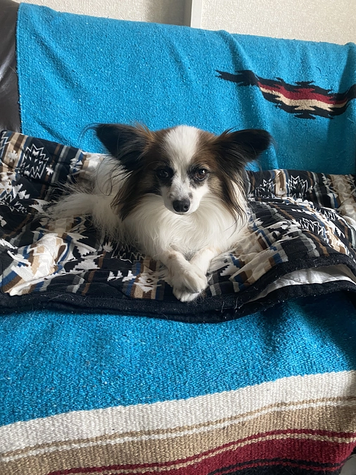 🆘カウトダウンが始まります‼️🆘