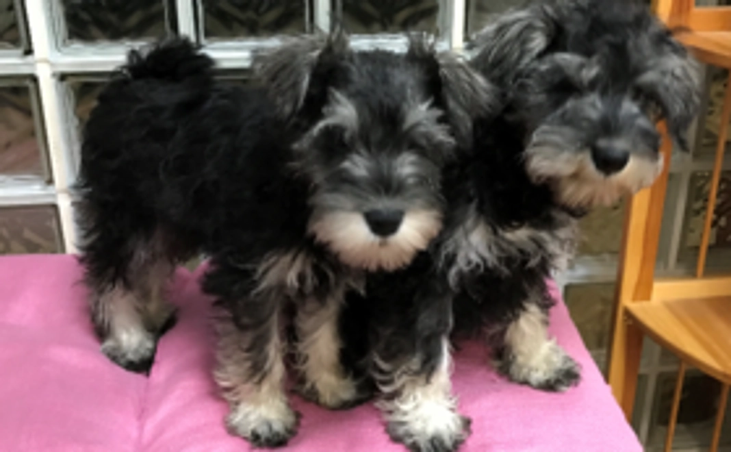 プロジェクト応援コース