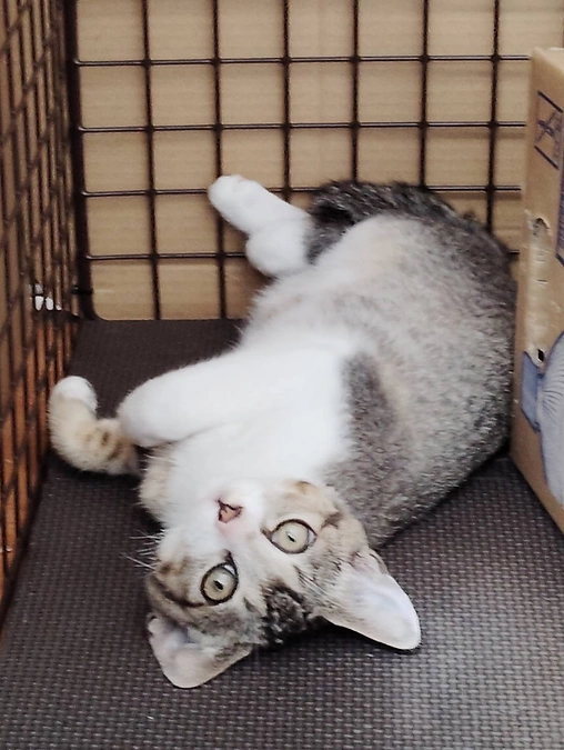 のこり16時間！！