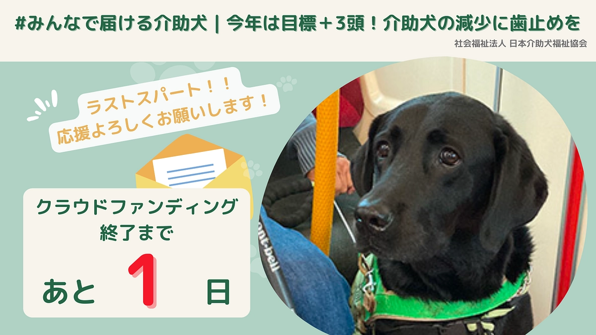 ネクストゴールの達成にお力添えを！終了まであと1日！「#みんなで届ける介助犬」プロジェクト。