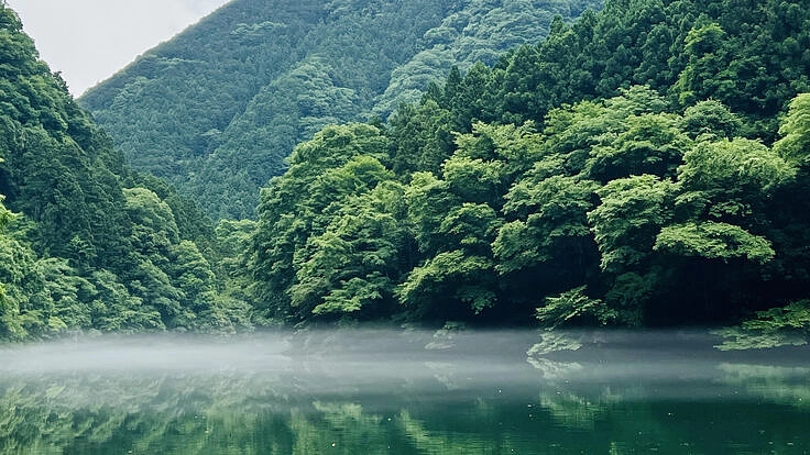 湖が水風呂のテントサウナ施設『白丸village』オープン