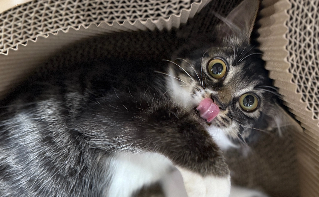 ジジ応援プラン⑤