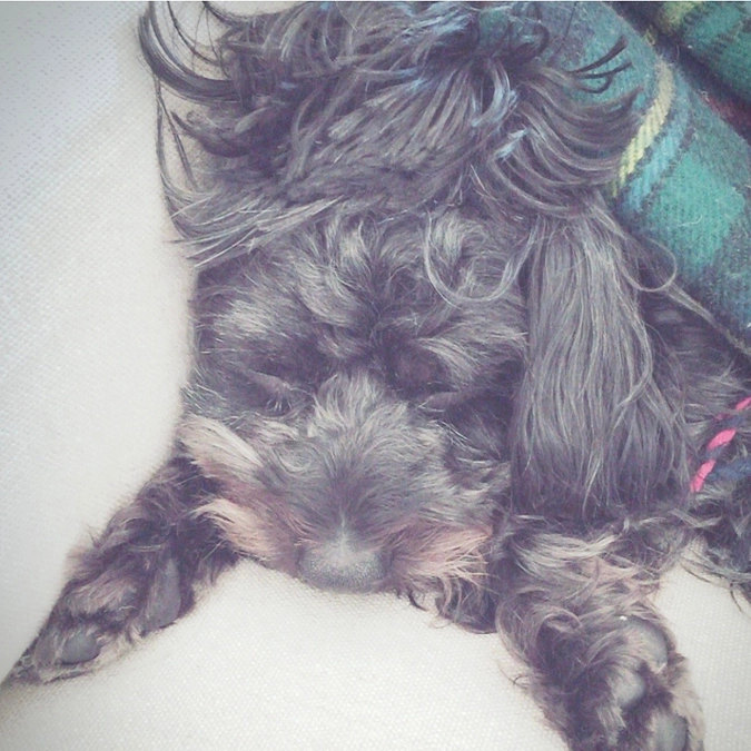 終了まで35時間