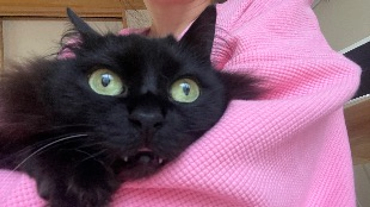 まさかの5匹目のFIP