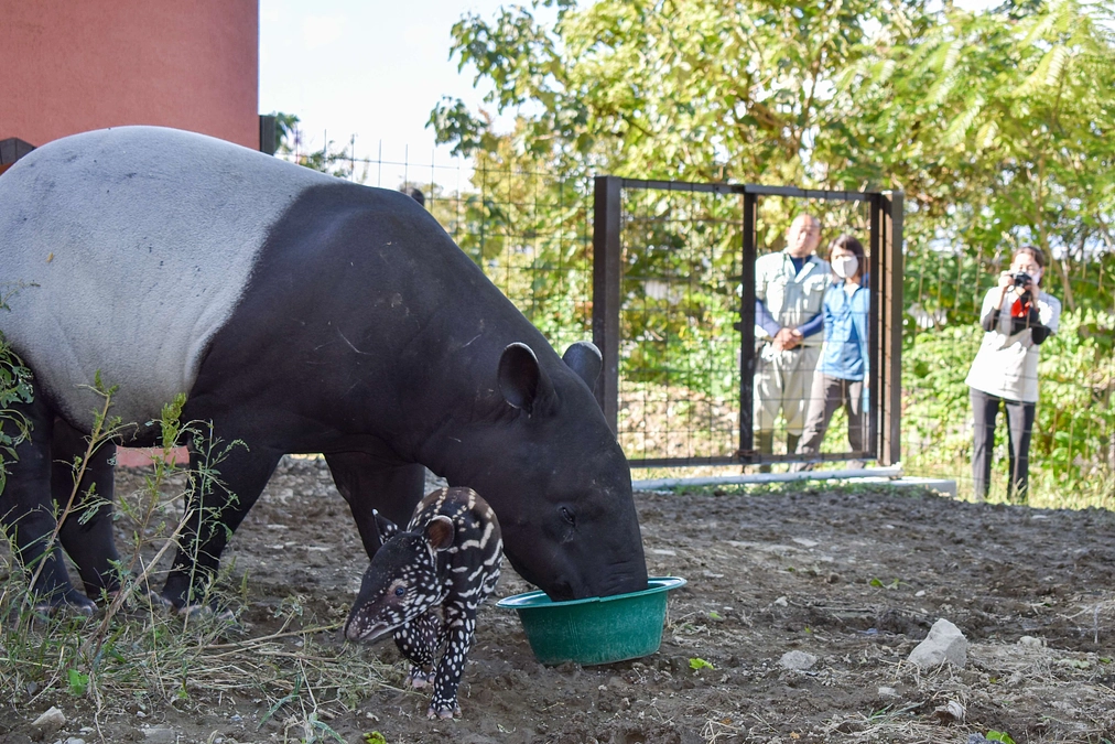 12月29日(金) 進捗報告・返礼品紹介〜飼育体験ツアー〜