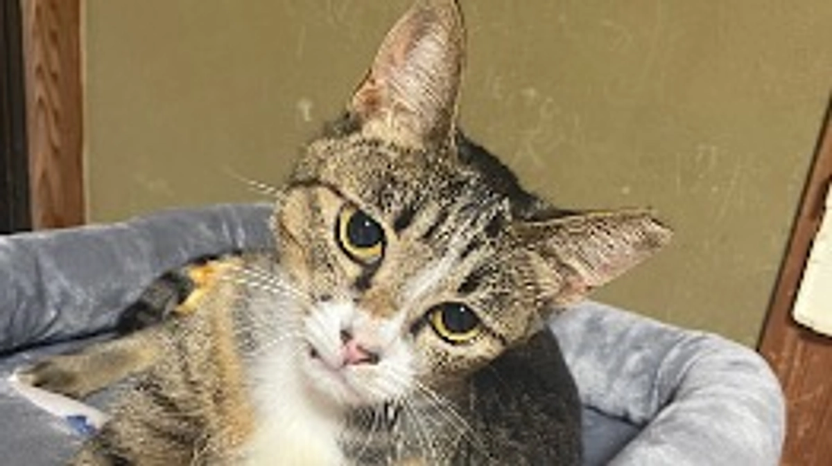 ちびちゃんの様子