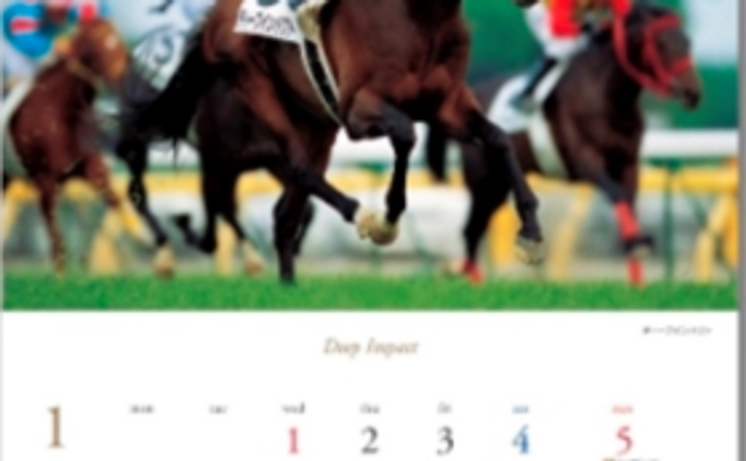 ポストカード＆カレンダー＆騎手のサイン