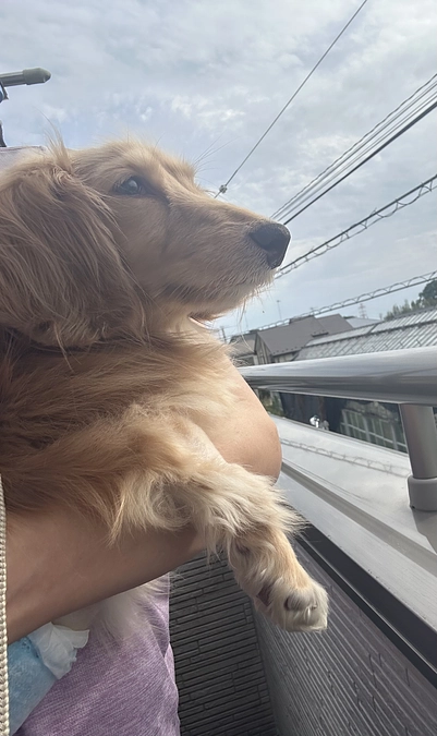 Leiくん頑張ってくれてるお陰で