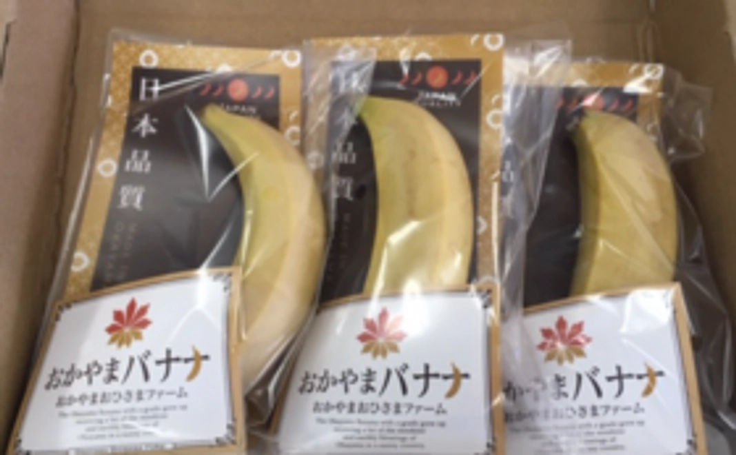 「木成り完熟」おかやまバナナプレミアム 3本セット