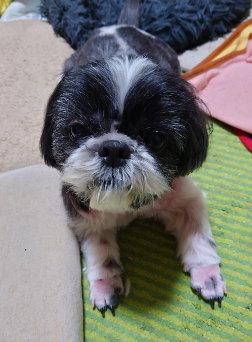 残り16日。本日の活動報告です。