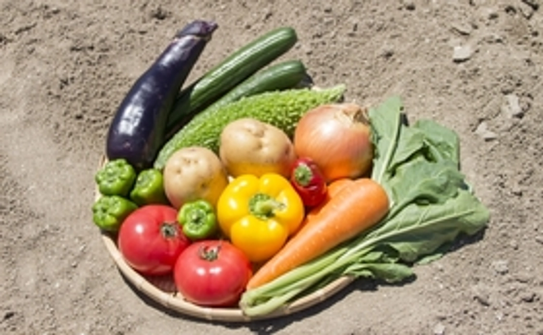 感謝のメールと自然栽培（農薬栽培期間中不使用）の夏野菜のおまかせセット（4種類）。