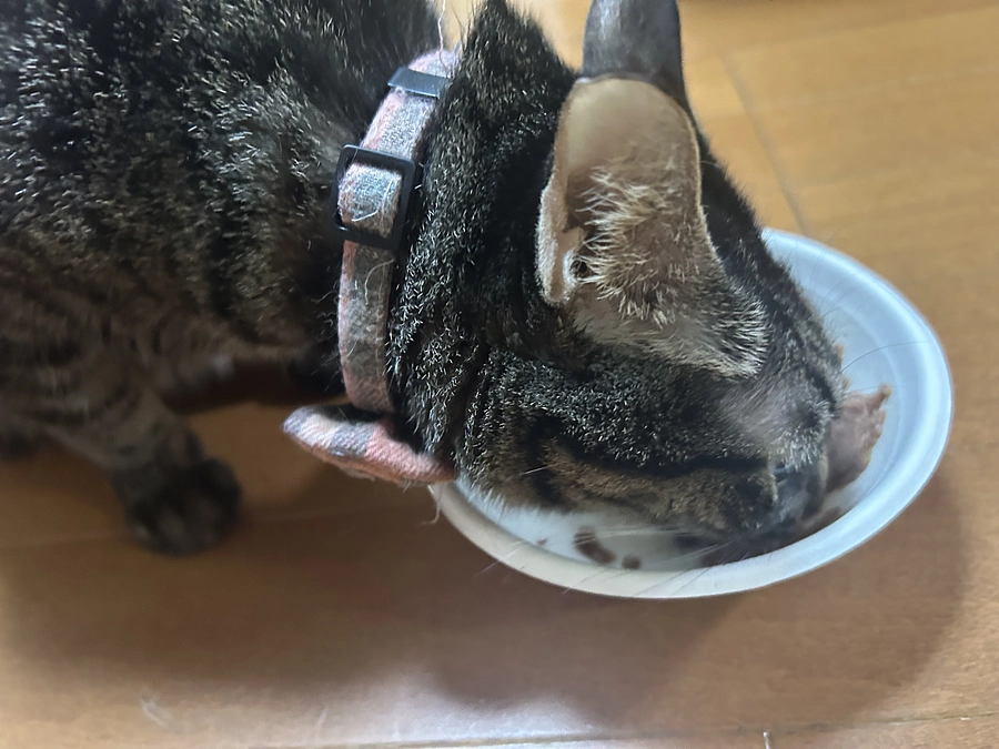 ついに明日MRI。