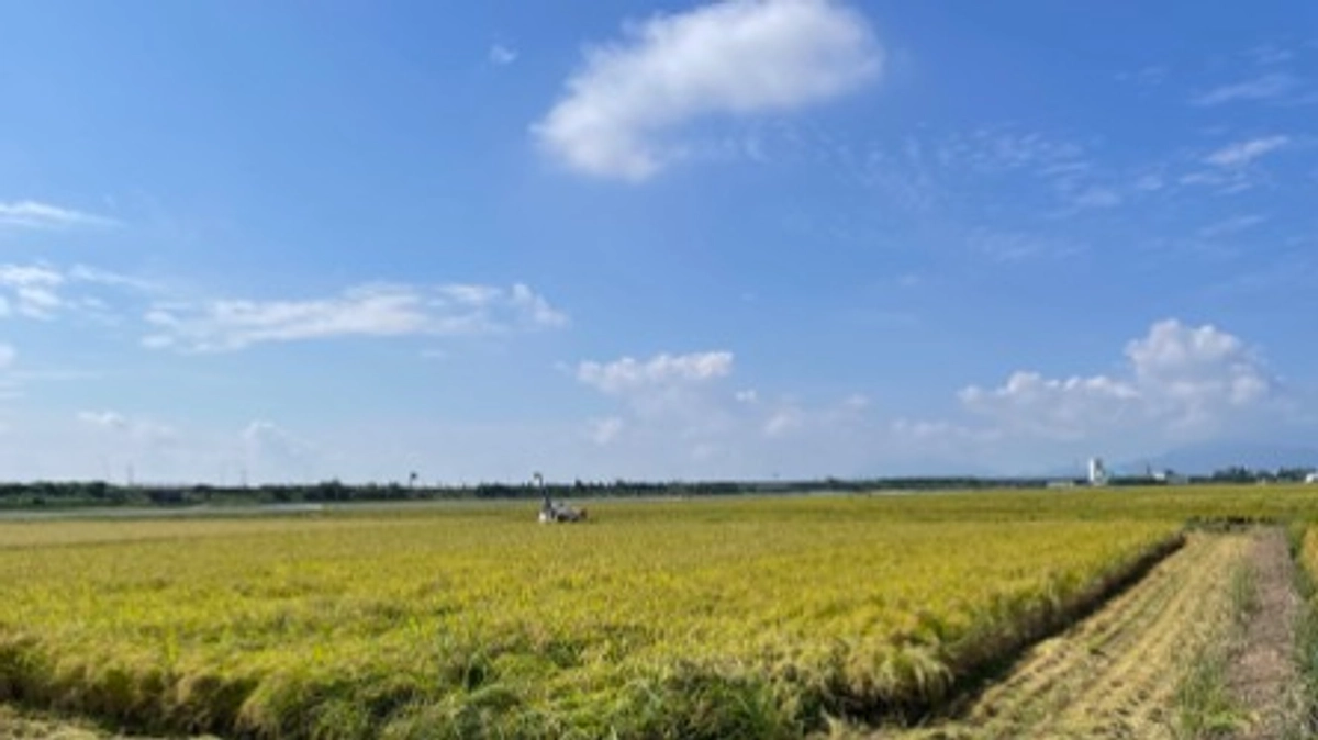 田んぼでのフィールドワークとテレビ出演