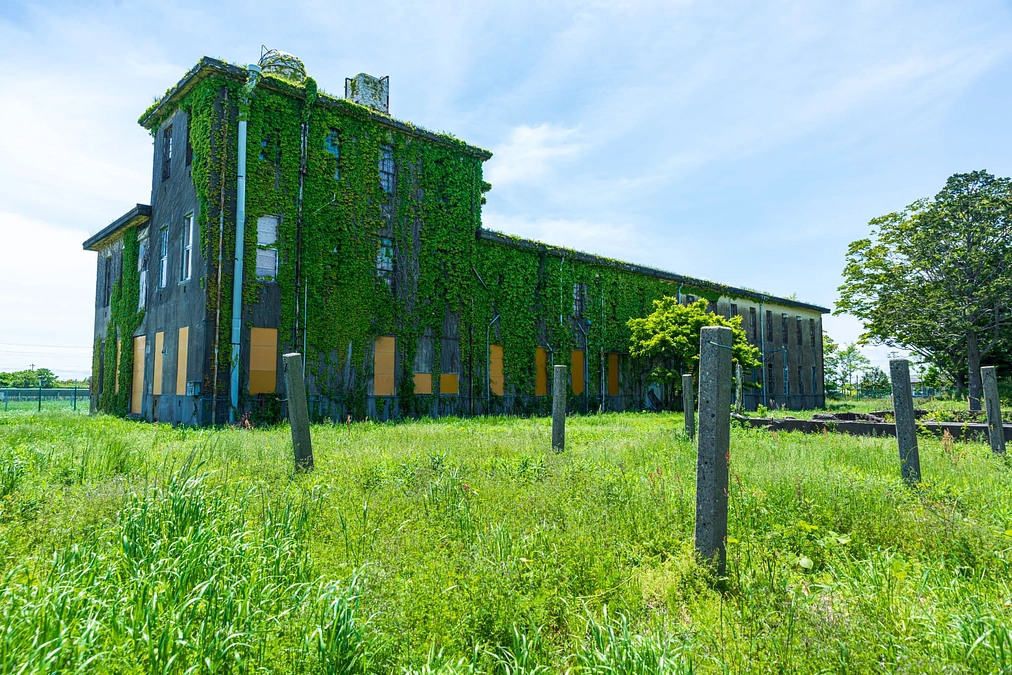 ８月15日より始まりました本プロジェクトも１カ月が終了。折り返しに入りました。