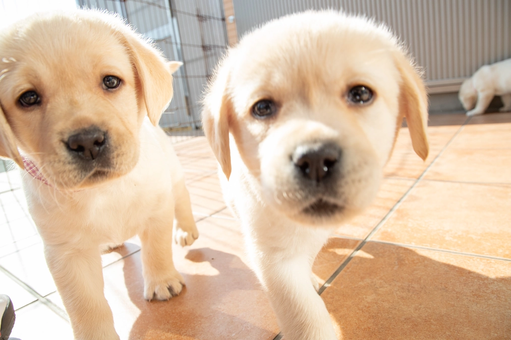 【公開して約2週間！】大切な皆様へ、拡散のお願いです