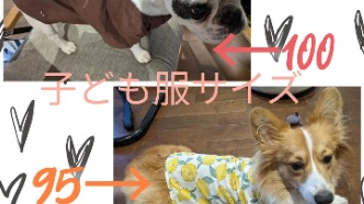 初めての洋服👚