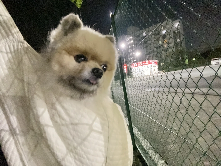 40%ありがとうございます！