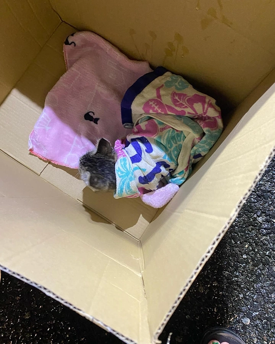 誕生日の日に起きた奇跡