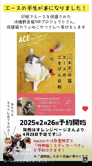 二本足の猫・エースのごきげん日和が発売されます！