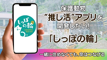 あなたのタップが救いになる。保護動物“推し活”アプリを開発したい！ のトップ画像