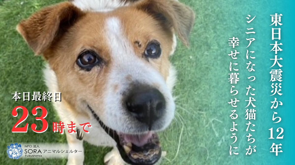 【本日最終日】支援募集は本日23時までです！