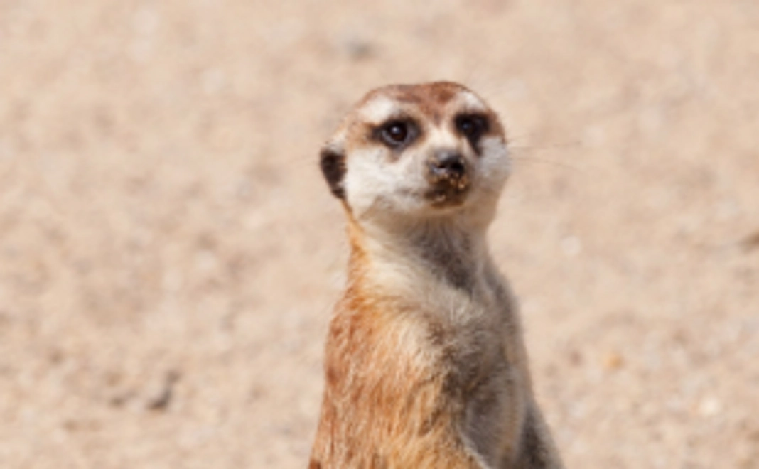 ＜頂上へ30m前進コース！＞お礼のお手紙