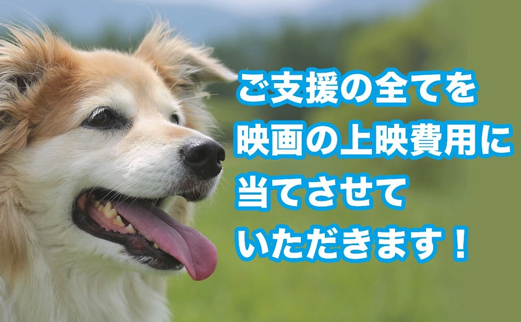 上映を全力応援コース｜3千円