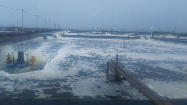 日本の技術により開発した海老の養殖用飼料の生産及び販売計画