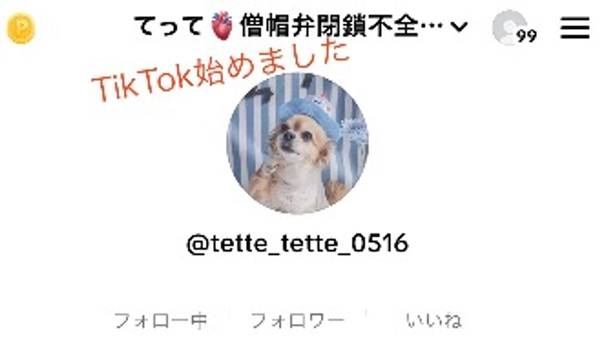 TikTok始めました【活動報告28日目】