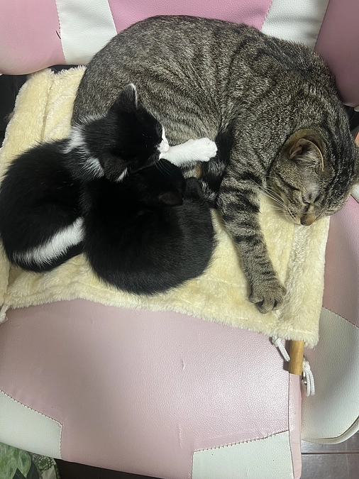 病院行ってきました