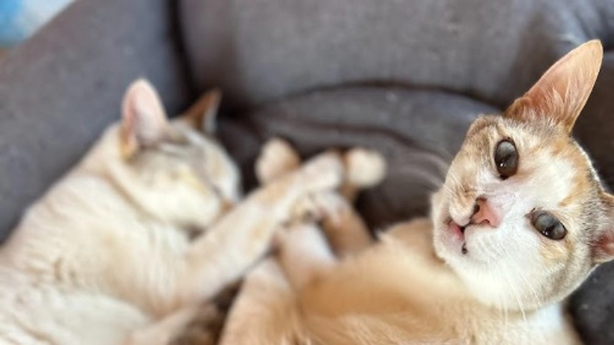 ついに１００名様のご支援が届きました！