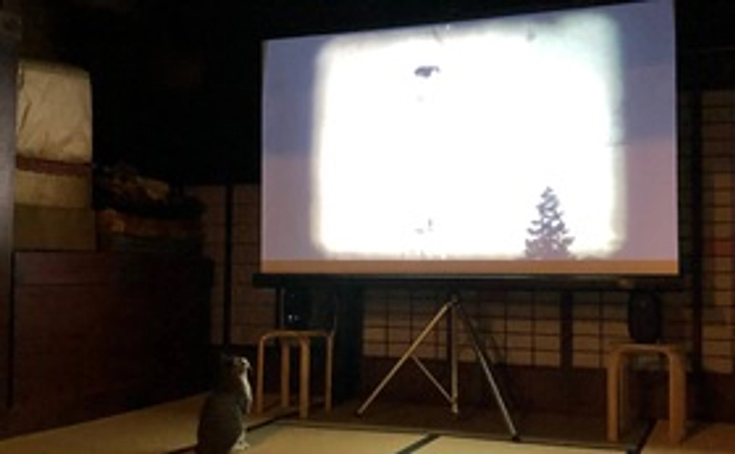 完成上映会ご招待席ご観覧チケットコース