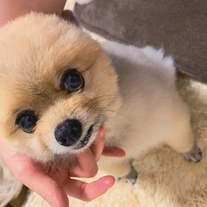 取り急ぎご報告