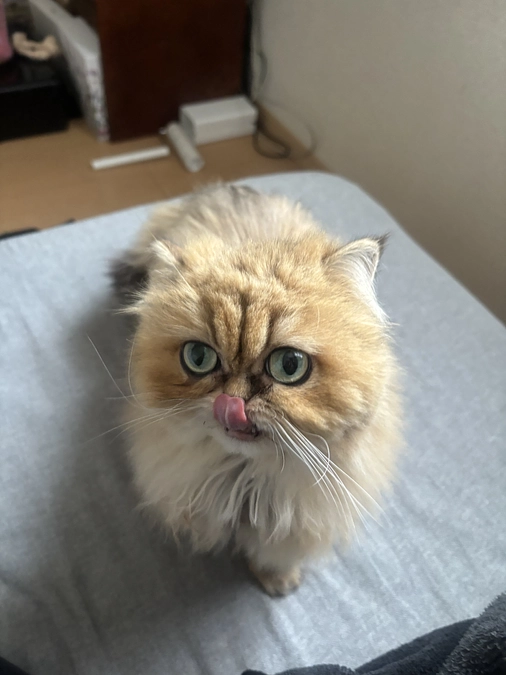 残り30分となりました。