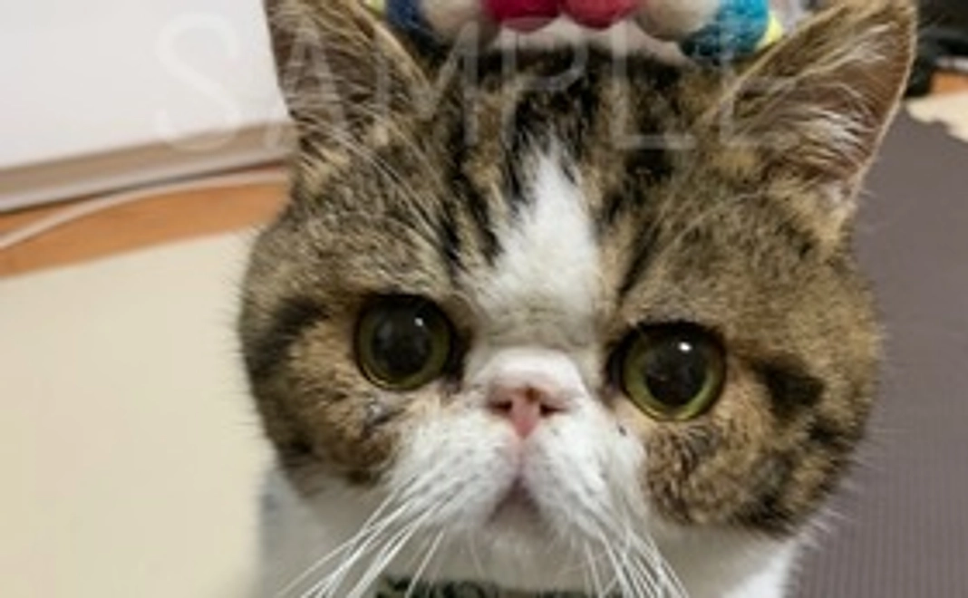 感謝のメール(リターン不要)