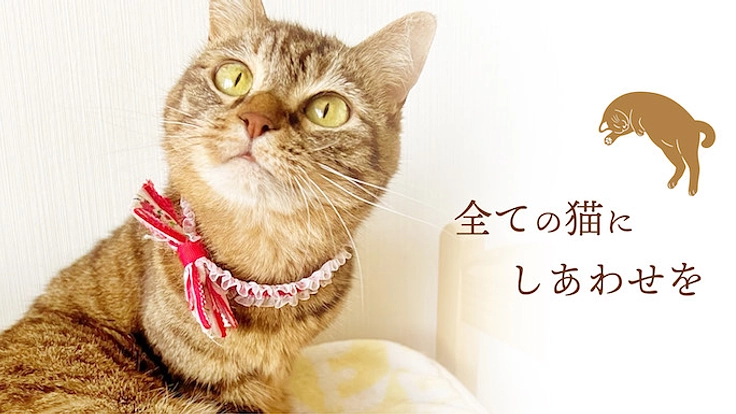 ラーメンの力で猫を助ける「保護猫ラーメンカフェ」を作ります! 5枚目