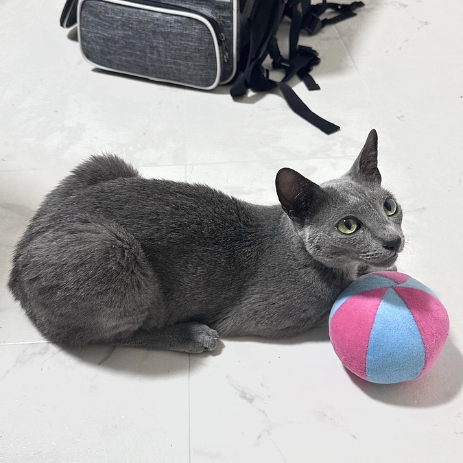 【残り7️⃣日💦】投薬75日目