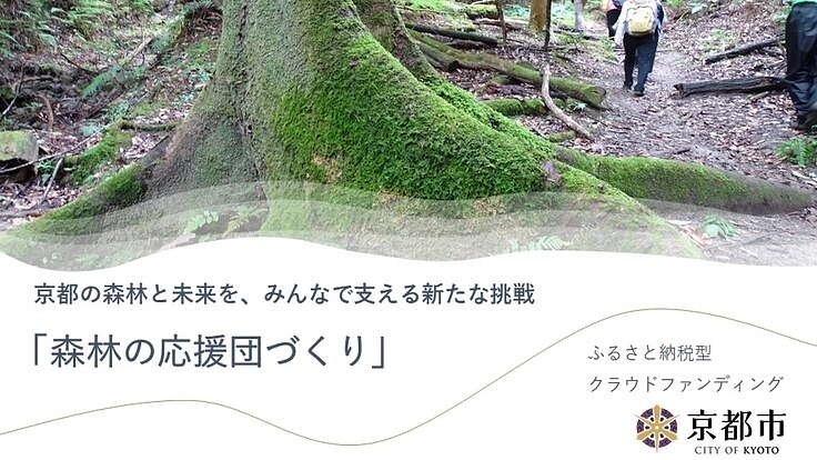 森林の魅力に癒されてほしい!×森林の応援団づくり