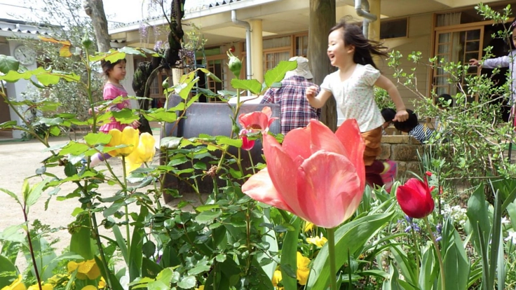 シュタイナー幼稚園に、みんなが集まる自由への教育の拠点を作りたい