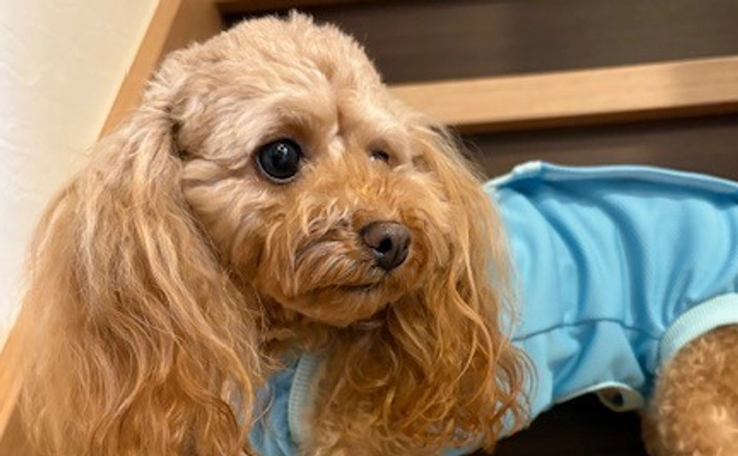 ゆむのサポーターになってください！No.2