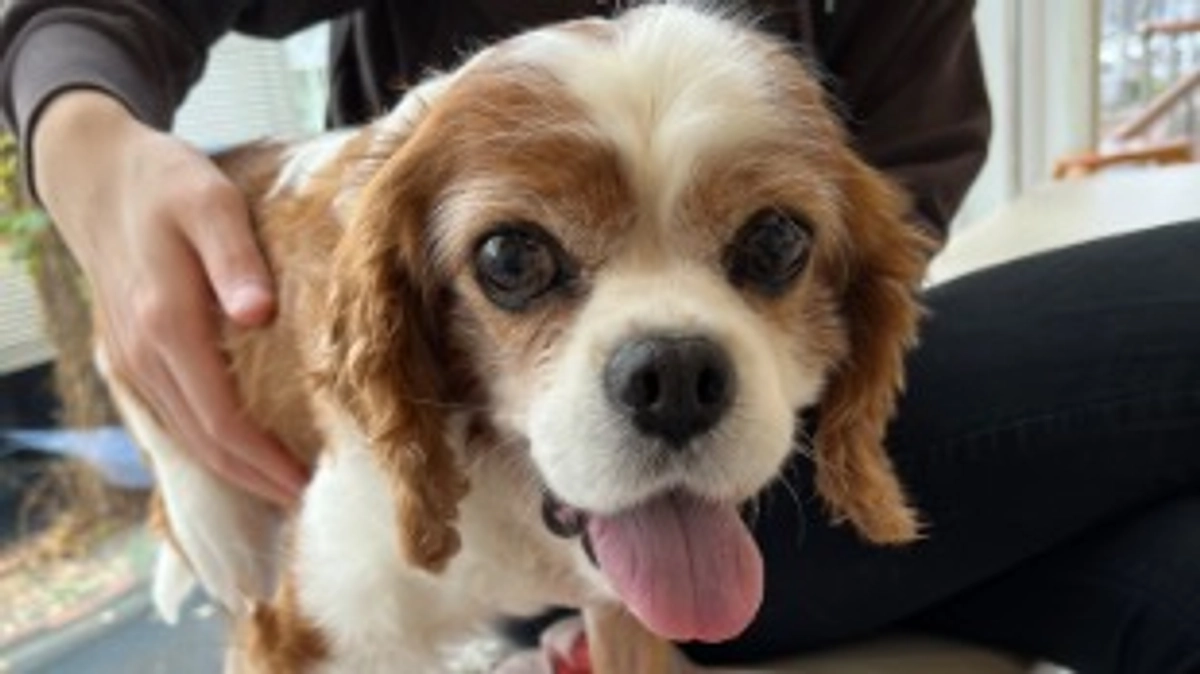 術後11日目です。少し気になることが…