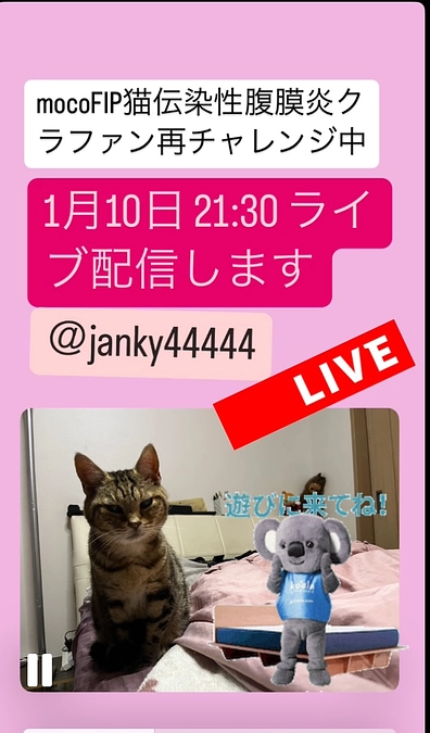 1月10日　21:30　インスタライブします
