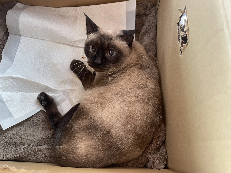 今日は病院に来てます。