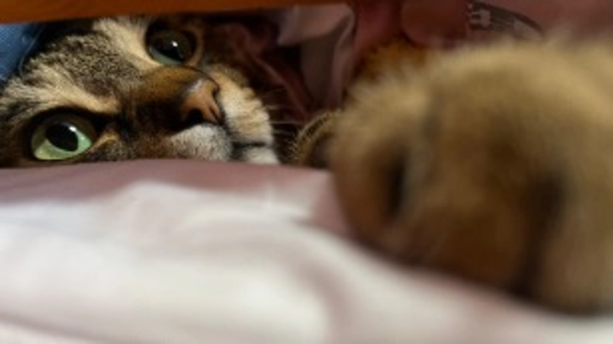 【通院記録】1月22日