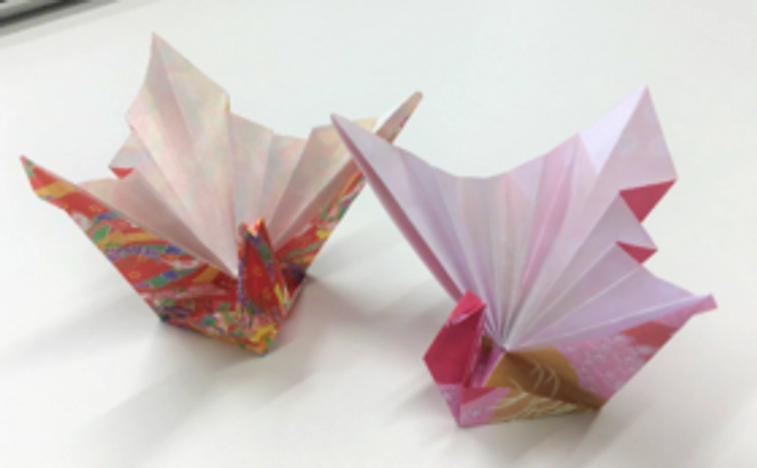 応援コース（10000）