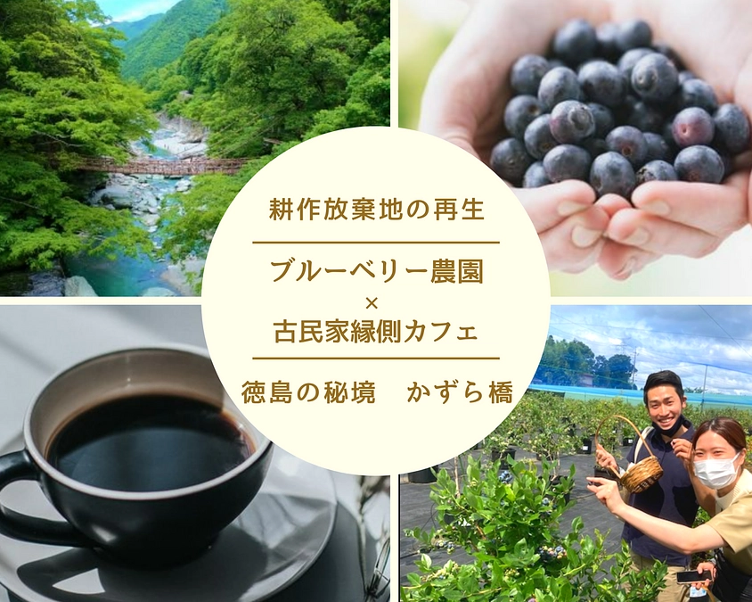 公開最終日は24日(月）23時59分まで、残り3日間となりました。