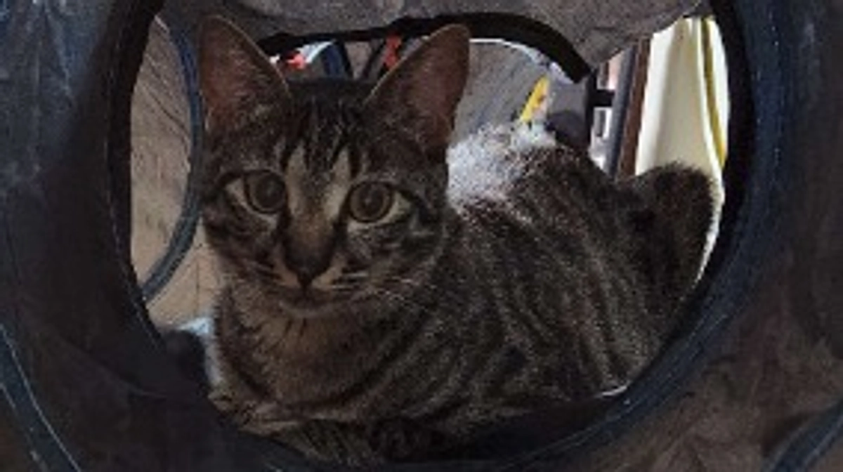 楓日記(9月28日)